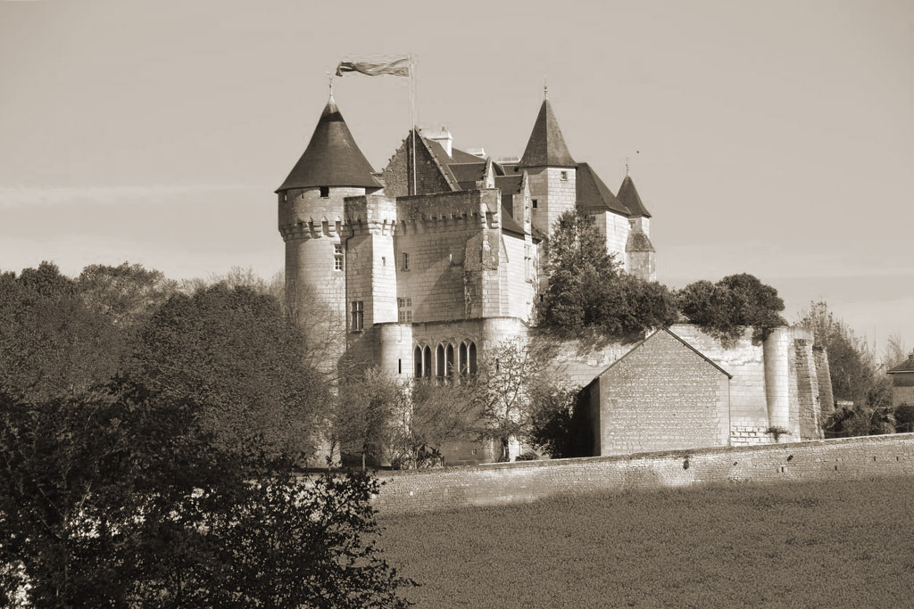 Chateau de la Motte